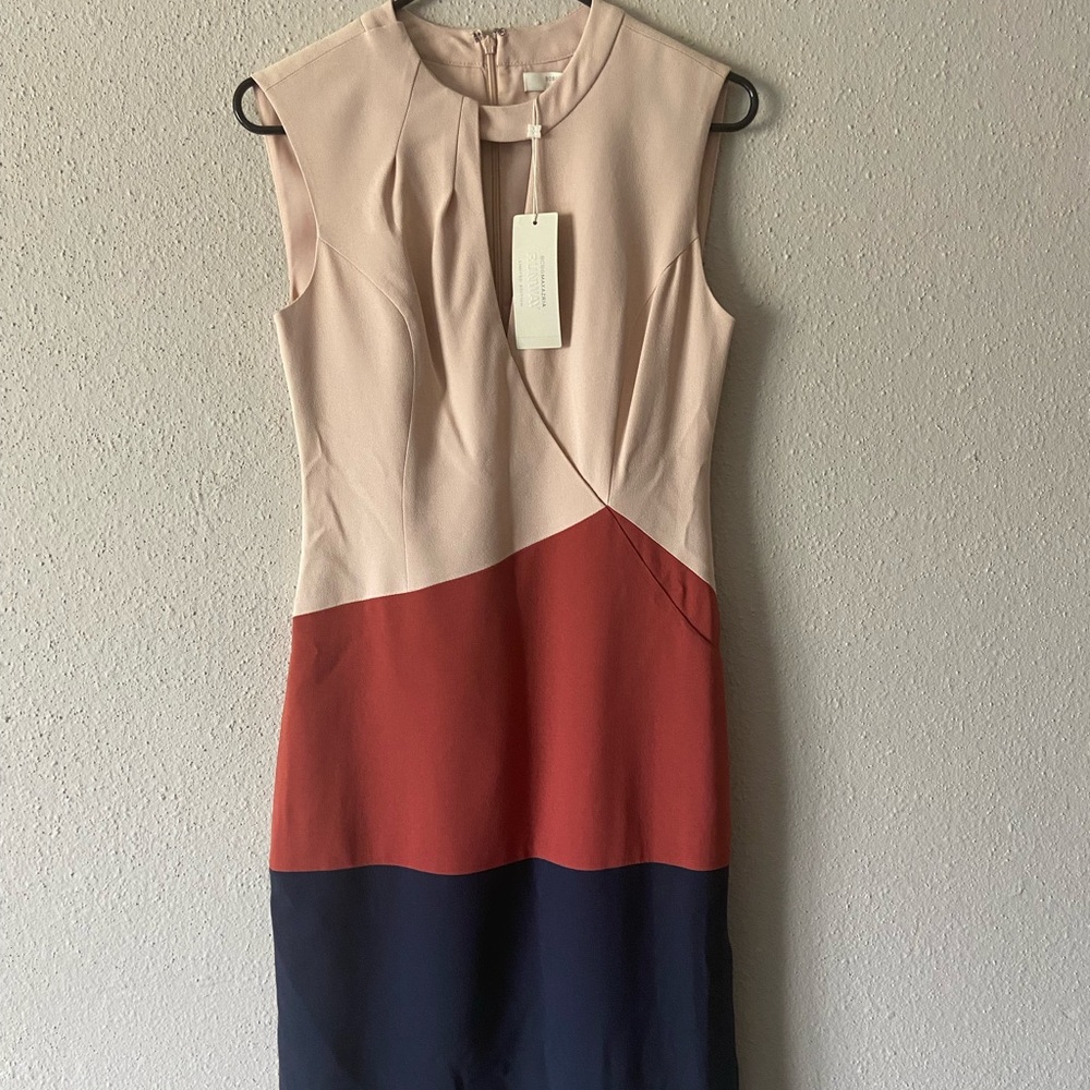 Elegant BCBG Color Block Sleeveless Dress (NWT)